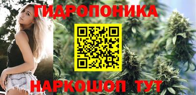 кокс Дмитров