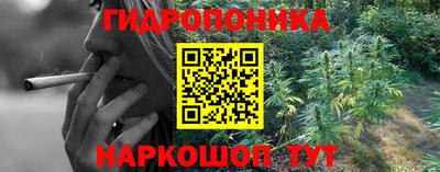 кокс Дмитров