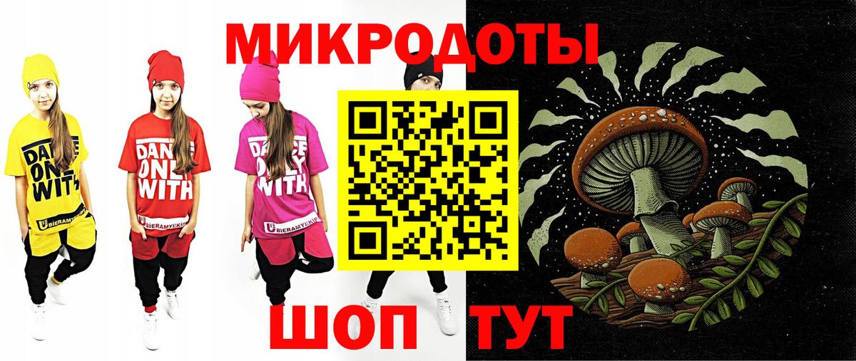 Гатчина  Галлюциногенные грибы прущие грибы  Вход с VPN 